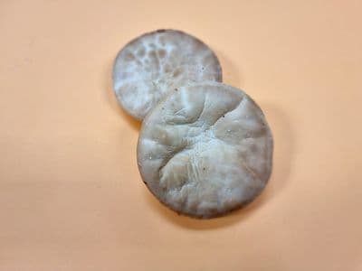 Pan de hamburguesa x 4